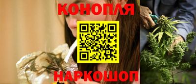 сатива Новозыбков