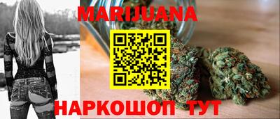сатива Новозыбков
