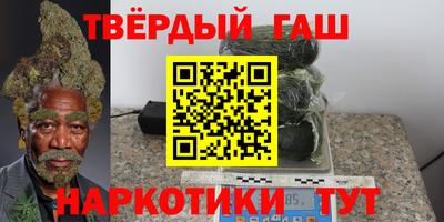 сатива Новозыбков
